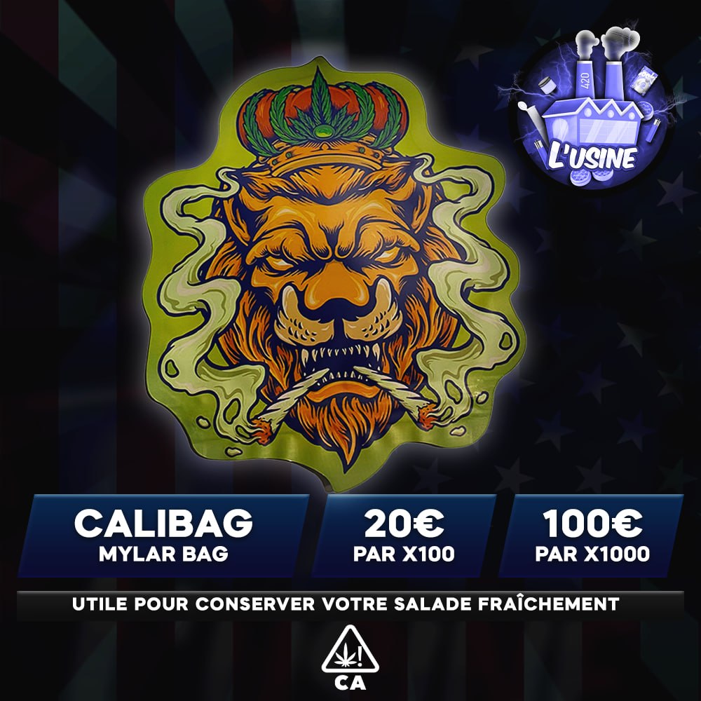 LION CALIBAGS